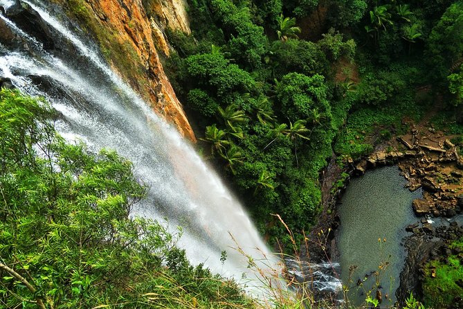 Lamington National Park, O'Reilly's & Vineyard Tour - What the $92.52 price really covers