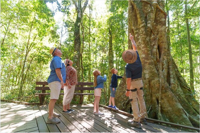 Lamington National Park, O'Reilly's & Vineyard Tour - Canungra gives you a quick reset
