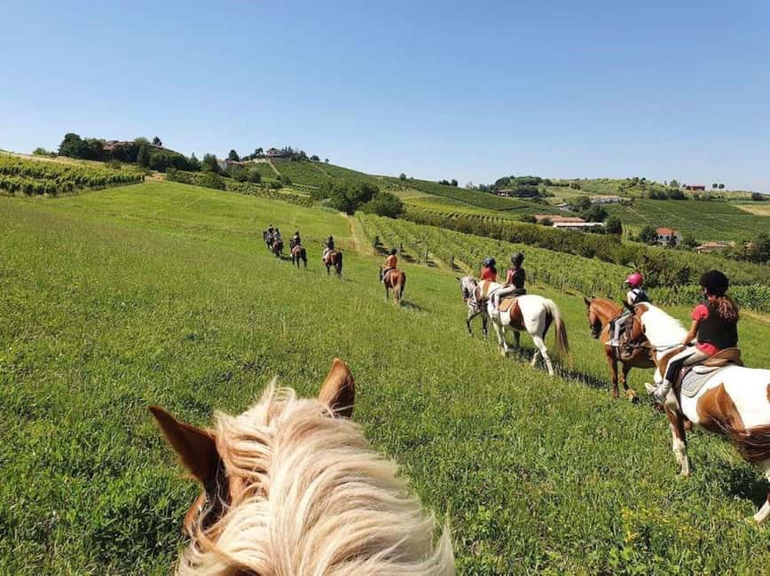 Langhe: Horse Riding in the Vineyards - Key Points at a Glance