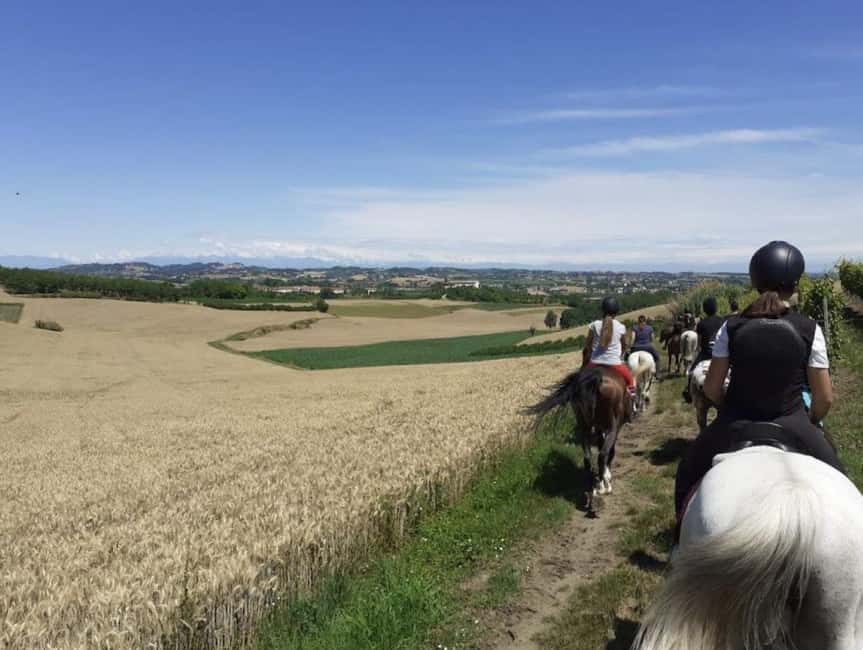 Langhe: Horse Riding in the Vineyards - Riding Into the Langhe Vineyards