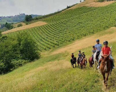 Langhe: Horse Riding in the Vineyards