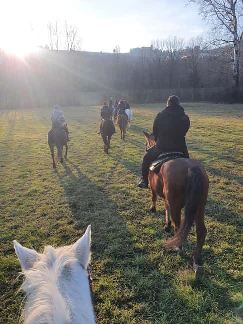 Langhe: Horse Riding in the Vineyards - Why the Unpaved Roads Matter