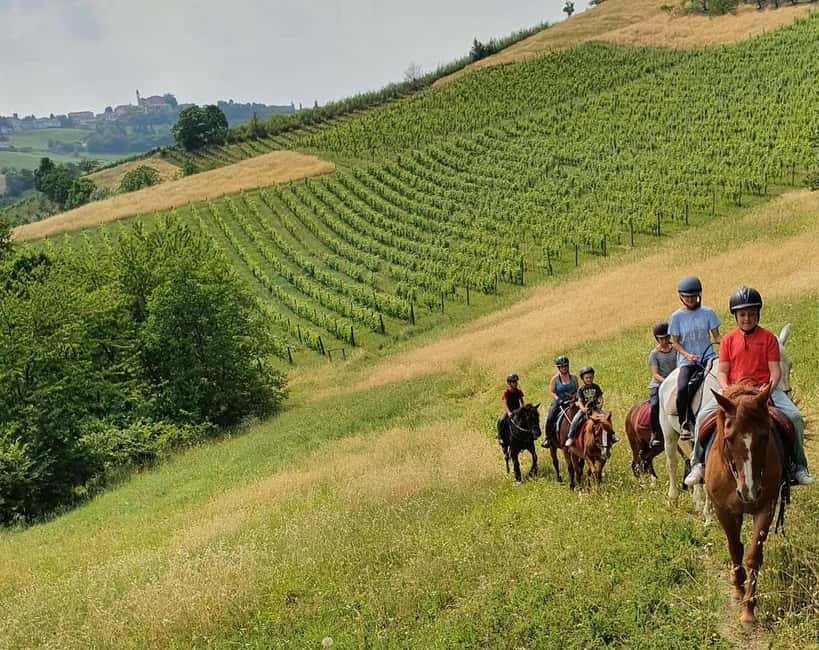 Langhe: Horse Riding in the Vineyards - What Happens at San Marzano Oliveto
