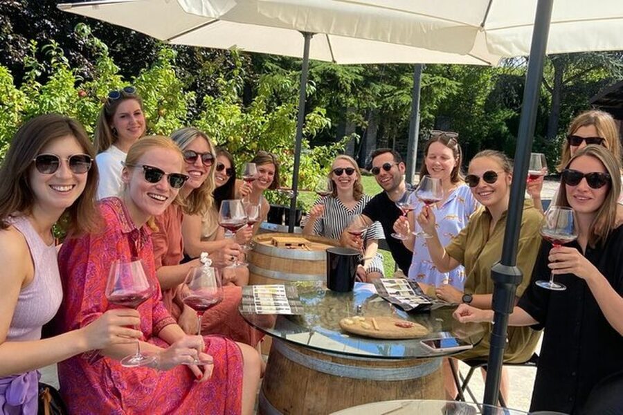 Langhe & Monferrato: Vineyard Tour and Wine Tasting - Why the six-wine format works