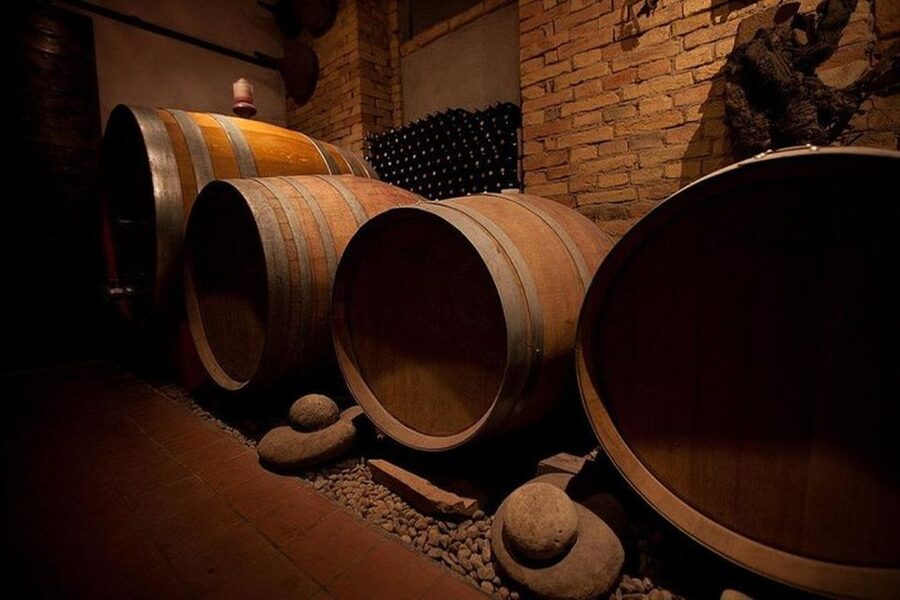 Langhe & Monferrato: Vineyard Tour and Wine Tasting - Walking through the vineyard and cellar