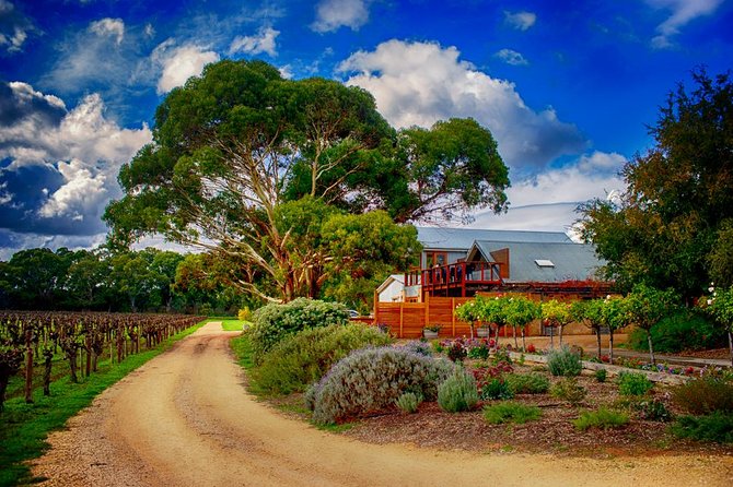Langhorne Creek Wine Region Daytrip with Lunch from Adelaide - Key points to know before you book