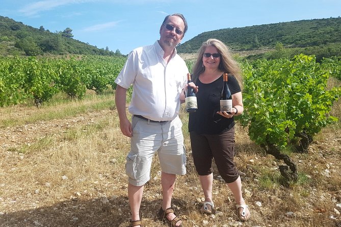 Languedoc Vineyard Tours - Timing, language, and practical details