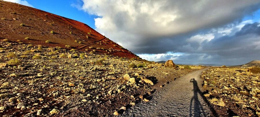 Lanzarote E-Bike Tour: Volcano Craters & Scenic Vineyards - Language, timing, and cancellation