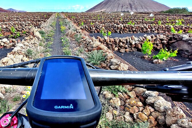 Lanzarote E-Bike Tour: Volcano Craters & Scenic Vineyards - Starting from Costa Teguise, Puerto del Carmen, or the winery