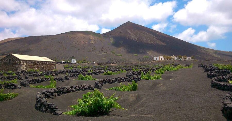 Lanzarote: La Geria Vineyards Hiking Tour - Who will enjoy this walk most