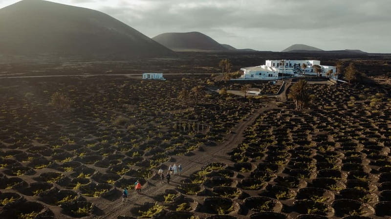 Lanzarote: Sunset vineyard tour with wine and chocolate tasting - Tasting two Vega de Yuco wines with island chocolate