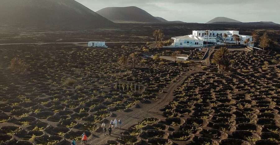 Lanzarote: Vineyard Tour with Wine and Chocolate Tasting - Key points to know before booking