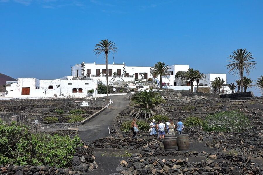Lanzarote: Vineyard Tour with Wine and Chocolate Tasting - Why Lanzarote wine is worth understanding