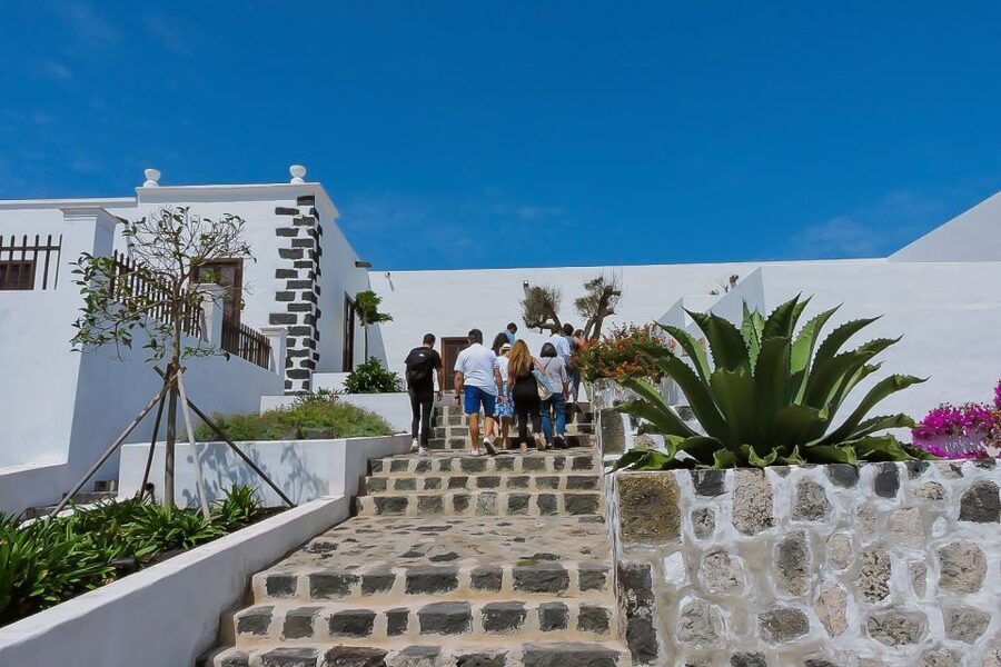 Lanzarote: Vineyard Tour with Wine and Chocolate Tasting - Malvasía Volcánica and Listán Negro