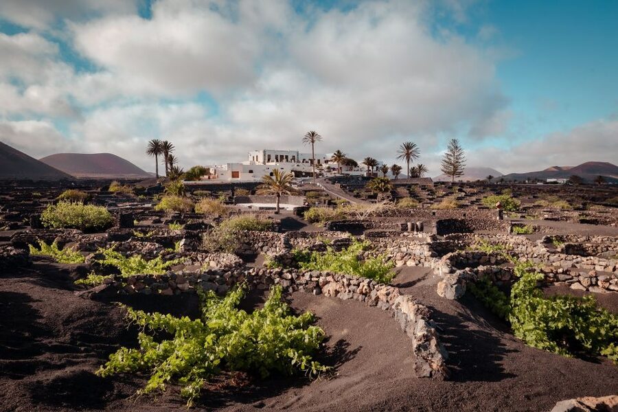 Lanzarote: Vineyard Tour with Wine and Chocolate Tasting - The story behind the manor and farmhouse