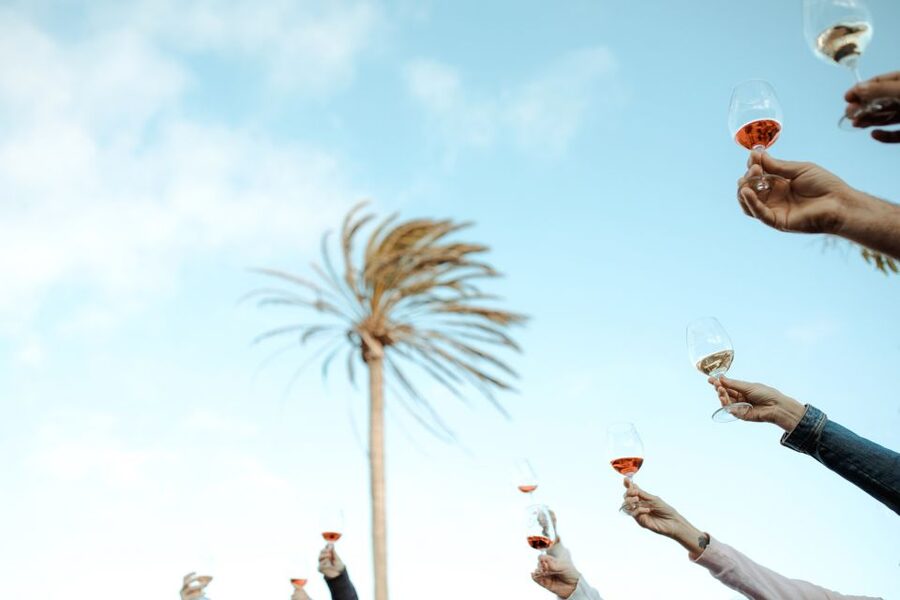 Lanzarote: Vineyard Tour with Wine and Chocolate Tasting - What the $28 price includes