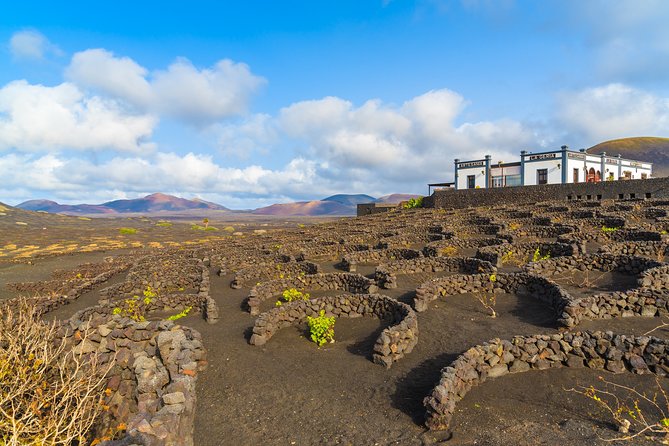 Lanzarote Volcano and Wine Region Tour from Fuerteventura - Timanfaya National Park: the reason to book