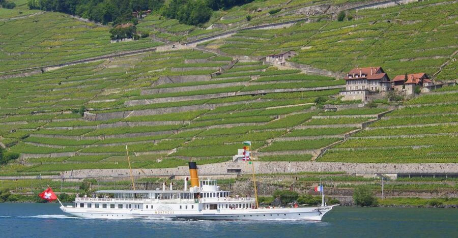 Lausanne: 2-Hour Lake Geneva Cruise Along Lavaux Vineyards - Wine, seating, and the onboard experience