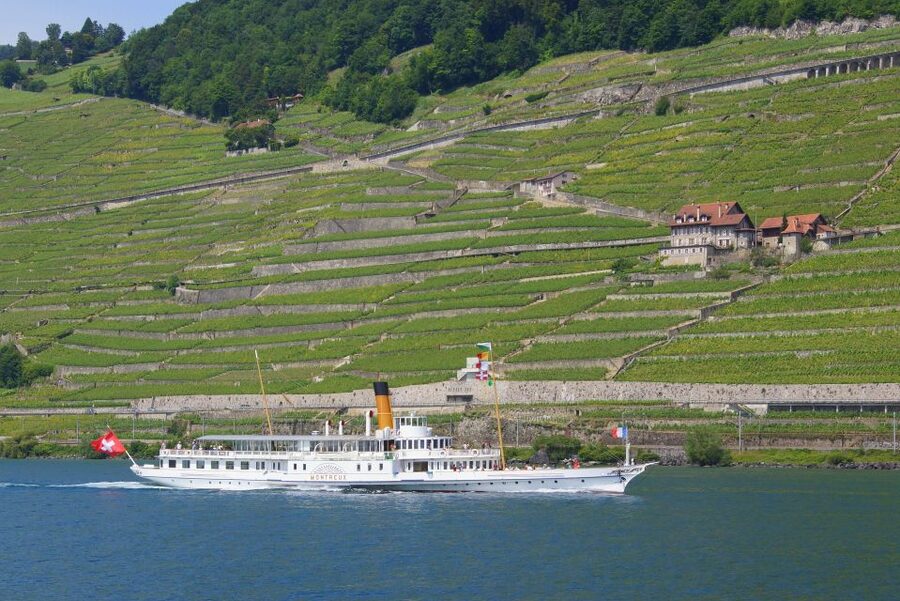 Lausanne: 2-Hour Lake Geneva Cruise Along Lavaux Vineyards - Who will enjoy this cruise most
