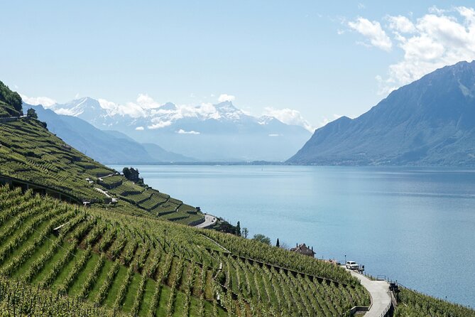 Lavaux Wine and Vineyard Experience with Boat Cruise - Why Lavaux makes such a good day from Geneva