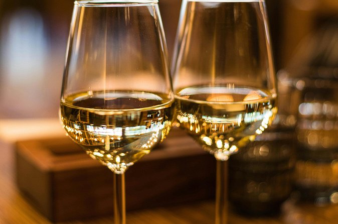 Lavaux Wine and Vineyard Experience with Boat Cruise - Seeing Lake Geneva from the boat