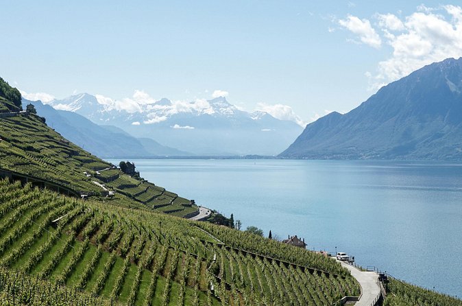 Lavaux Wine and Vineyard Experience with Boat Cruise - What the small group changes