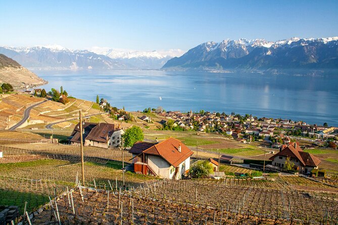 Lavaux Wine and Vineyard Experience with Boat Cruise - Walking the terraced vineyards at Chemin du Daley