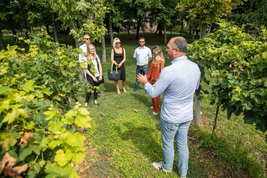Lazise: Vineyard Tour and Organic Wine Tasting - Who Should Book This Lazise Wine Tour?