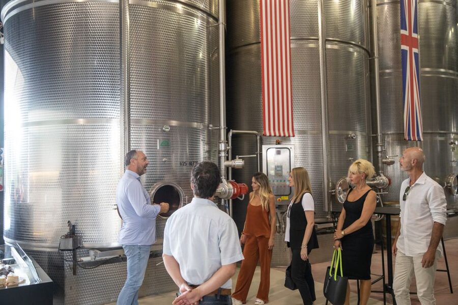 Lazise: Vineyard Tour and Organic Wine Tasting - A Modern Winery in the Hills Above Lazise