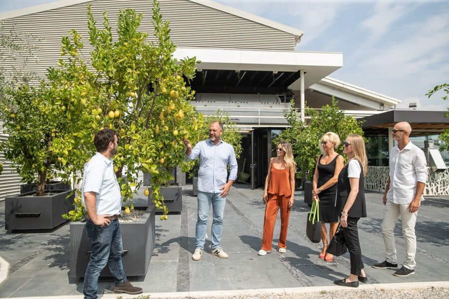 Lazise: Vineyard Tour and Organic Wine Tasting - Inside the Cellar With Old and New Equipment