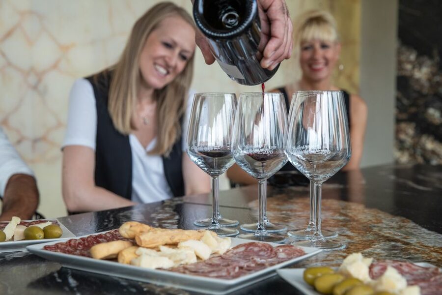 Lazise: Vineyard Tour and Organic Wine Tasting - Five Wines From Pinot Grigio to Bardolino