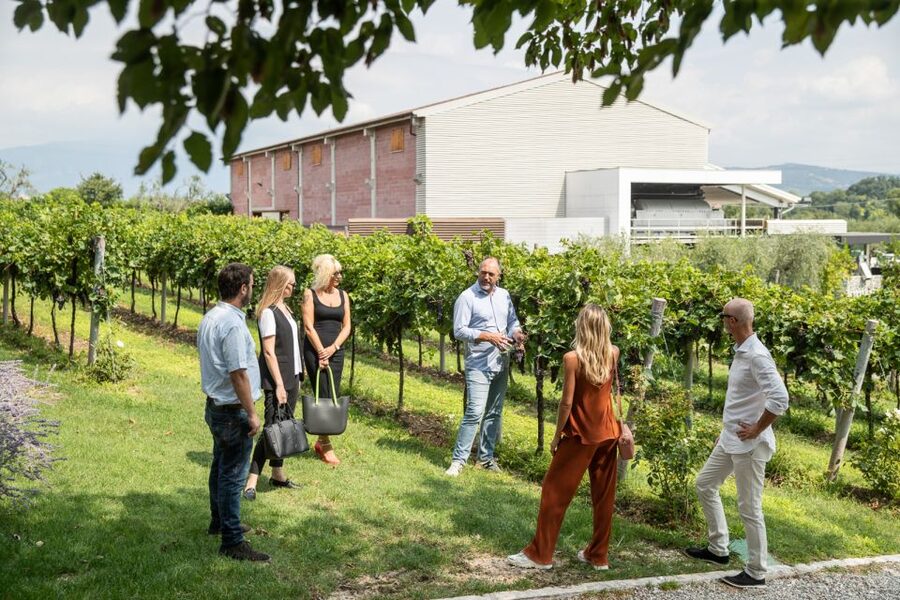 Lazise: Vineyard Tour and Organic Wine Tasting - What the $58 Price Really Buys