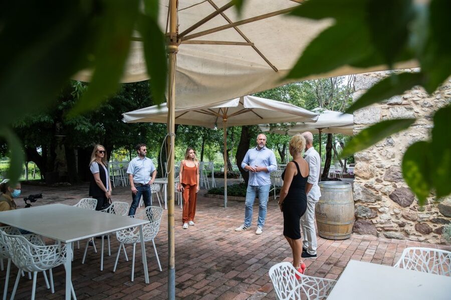 Lazise: Vineyard Tour and Organic Wine Tasting - Buying Bottles at the Winery Shop