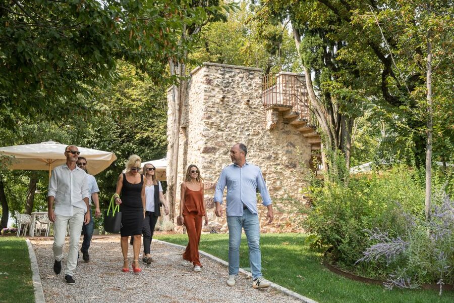 Lazise: Vineyard Tour and Organic Wine Tasting - Walking Among the Grapes