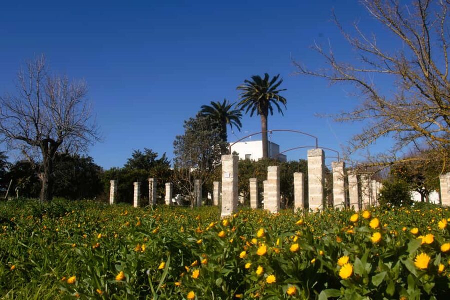 Lecce: Countryside Vineyard Walk & Wine Tasting - Key points to know before booking