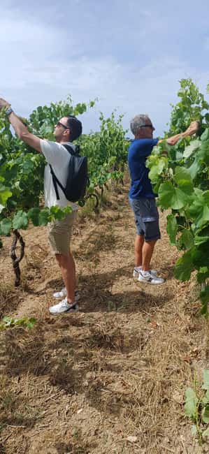 Lecce: Countryside Vineyard Walk & Wine Tasting - Inside the old wine-making room