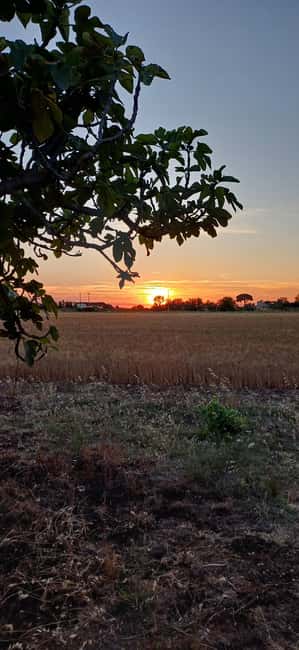Lecce: Countryside Vineyard Walk & Wine Tasting - Should you book Casina Spezzaferri?
