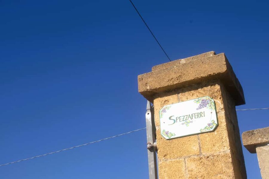 Lecce: Countryside Vineyard Walk & Wine Tasting - Walking among Salento vines and wild plants