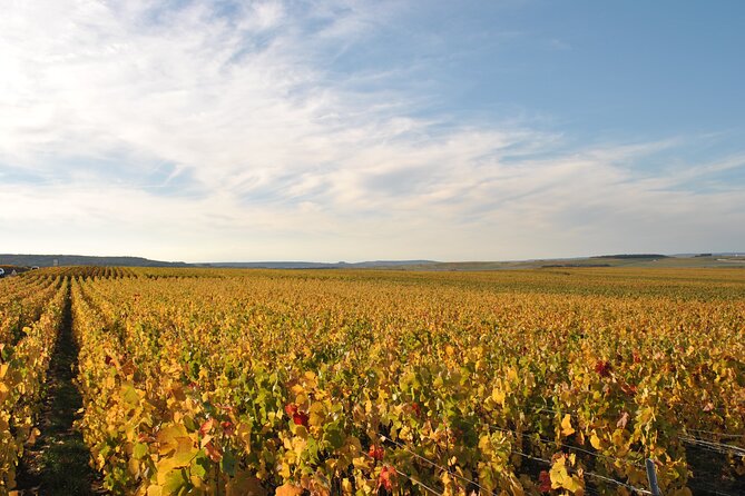 Let's take a walk in the vineyards - Is $28.66 a fair price?