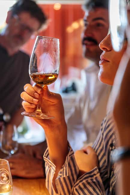 Lisbon: Carcavelos Vineyard Tour and Wine Tasting - What the cellar visit adds