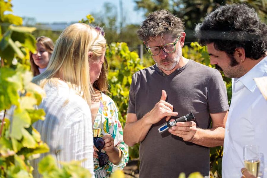 Lisbon: Carcavelos Vineyard Tour and Wine Tasting - Walking through the vineyard and winery