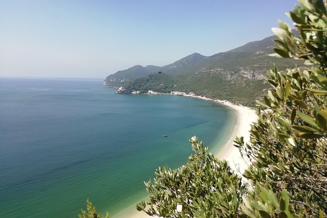 Lisbon & The South Side Wine Regions Private Luxury Tour - José Maria da Fonseca and Setúbal wine