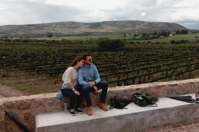Local Vineyard Tour & Wine Tasting at the Independence Valley - A modern winery in the Valle de la Independencia