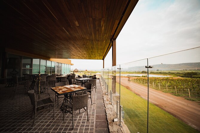Local Vineyard Tour & Wine Tasting at the Independence Valley - What happens at the wine tasting