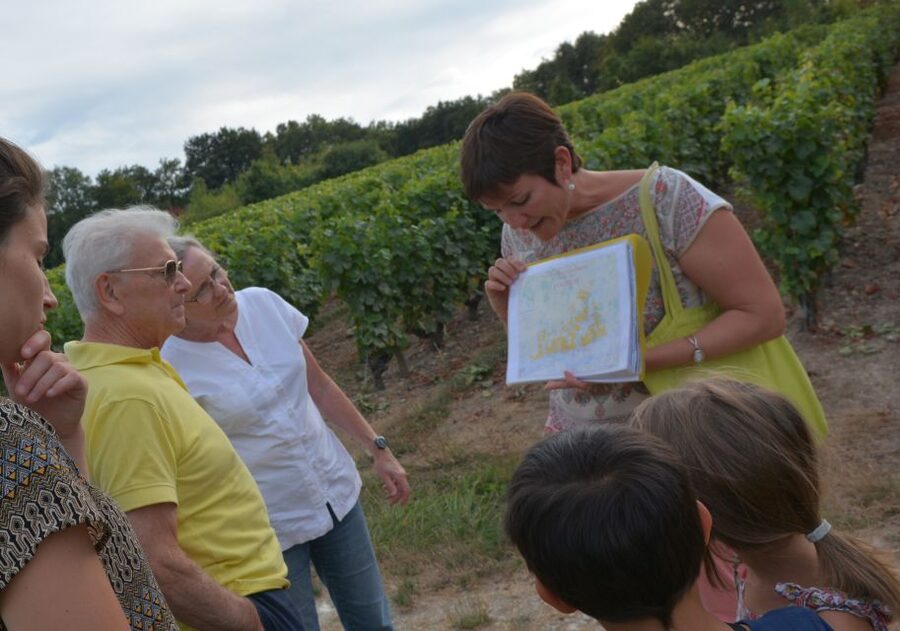 Loire Valley: Vouvray Vineyard Tour and Wine Tasting - Why this Vouvray tour feels different