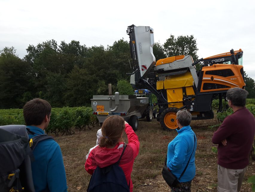 Loire Valley: Vouvray Vineyard Tour and Wine Tasting - Who will get the most from it