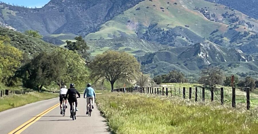 Los Olivos: E-Bike Tour + Vineyard Lunch w/Wine Tasting - Riding the Santa Ynez Valley back roads