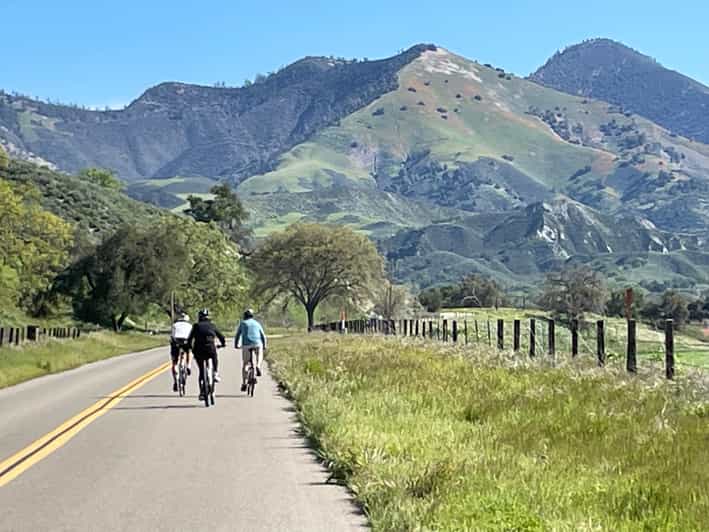 Los Olivos: E-Bike Tour + Vineyard Lunch w/Wine Tasting - Lavender and miniature horses along the route