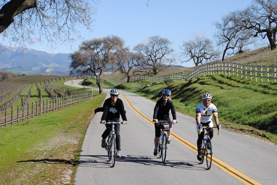 Los Olivos: E-Bike Tour + Vineyard Lunch w/Wine Tasting - Booking advice and final verdict