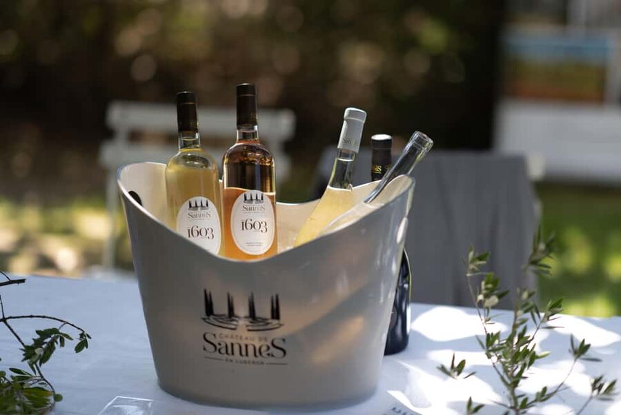 Luberon: Vineyard Tour and Wine Tasting - Key points at a glance